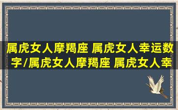 属虎女人摩羯座 属虎女人幸运数字/属虎女人摩羯座 属虎女人幸运数字-我的网站